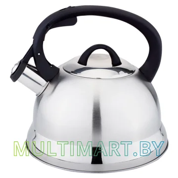 Чайник со свистком Webber BE-0554